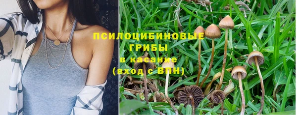 гидропоника Балахна